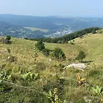 Apartment Lumineux Et Spacieux Pour 5 Personnes Au Mont-dore - Planet 1 *