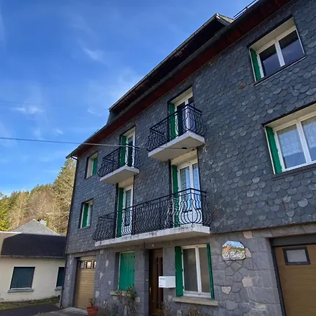 Apartment Lumineux Et Spacieux Pour 5 Personnes Au Mont-dore - Planet 1