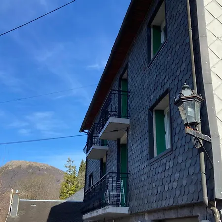 Lumineux Et Spacieux Pour 5 Personnes Au Mont-dore - Planet 1 *
