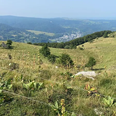 شقة Lumineux Et Spacieux Pour 5 Personnes Au Mont-dore - Planet 1 *