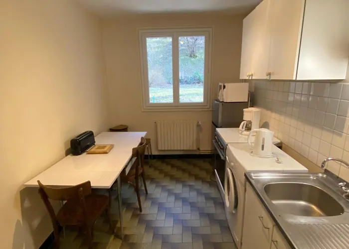 Lumineux Et Spacieux Pour 5 Personnes Au Mont-dore - Planet 1